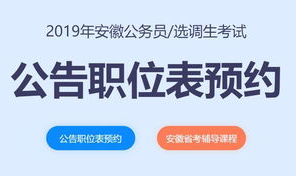 安徽公务员考试网,揭秘公务员考试流程与备考策略